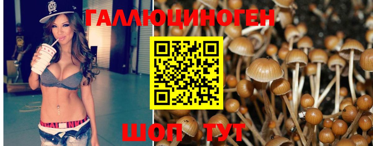 Галлюциногенные грибы прущие грибы Старая Купавна